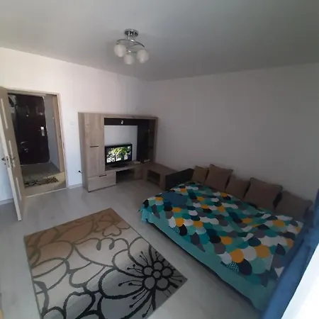 Garsoniera City Park Mall Apartment